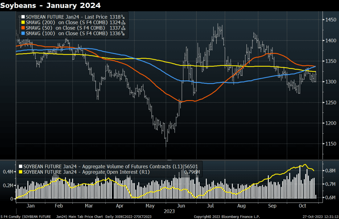 Soybeans - January 2024
