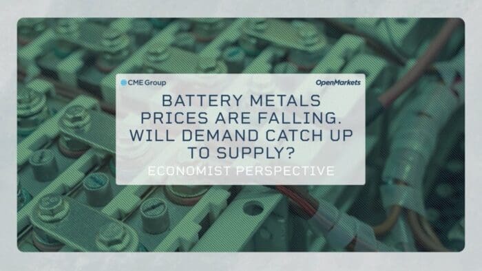 Economist Perspective: Will EV Demand Catch Up To Falling Battery Prices?