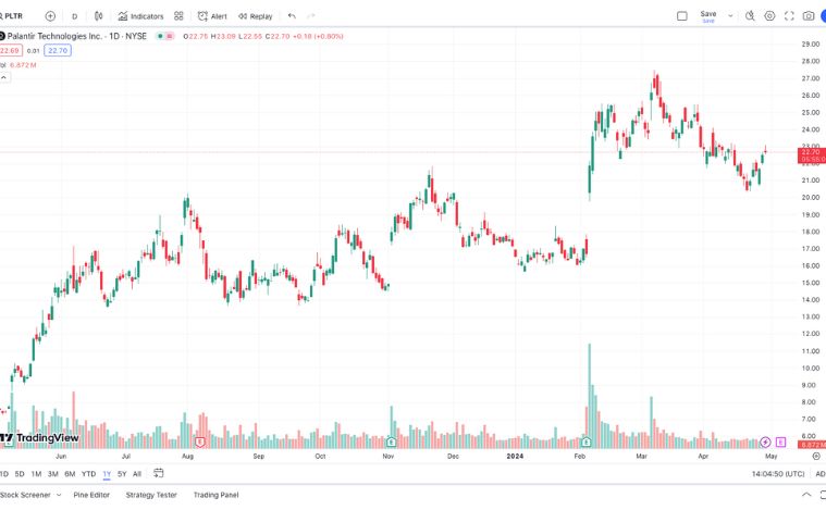Palantir Technologies (PLTR Stock)