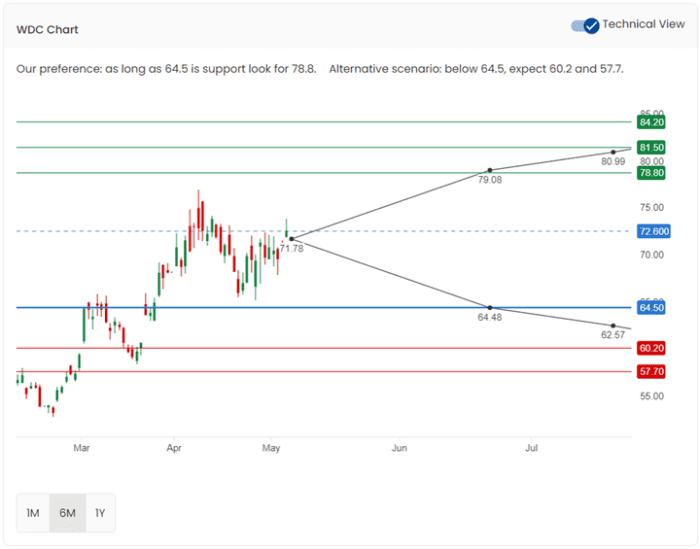 Technical Breakout in WDC provides Bullish Options
