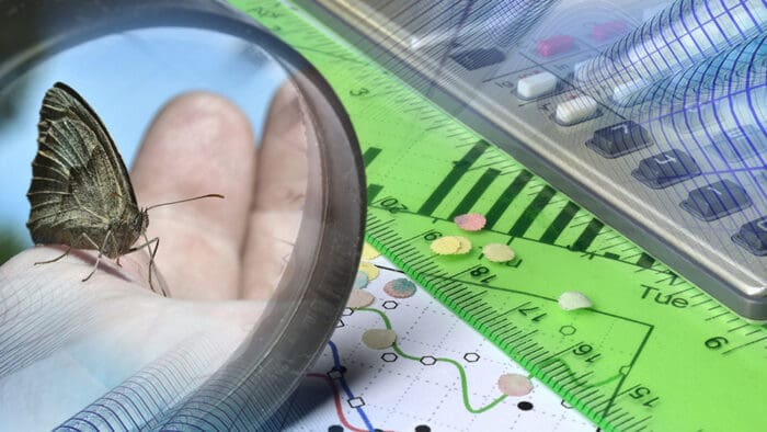 Iron Condors and Butterflies