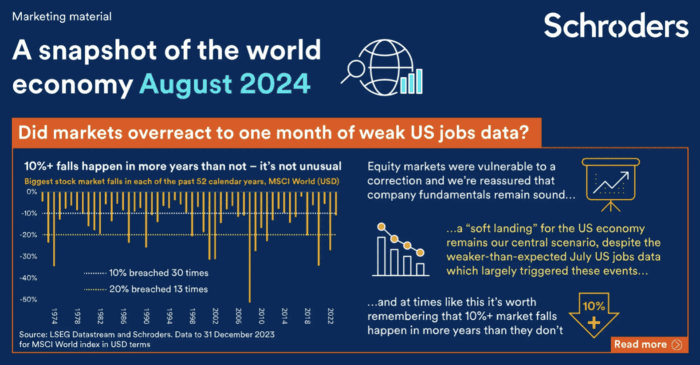 A snapshot of the world economy in August 2024