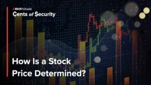 What Goes Into a Stock Price?