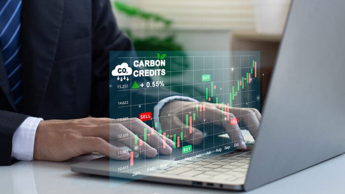 Investing in the Global Carbon Credit Markets