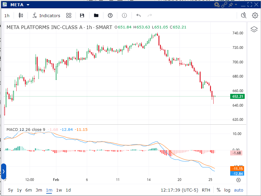 META – 1 Month, 1-Hour Candles
