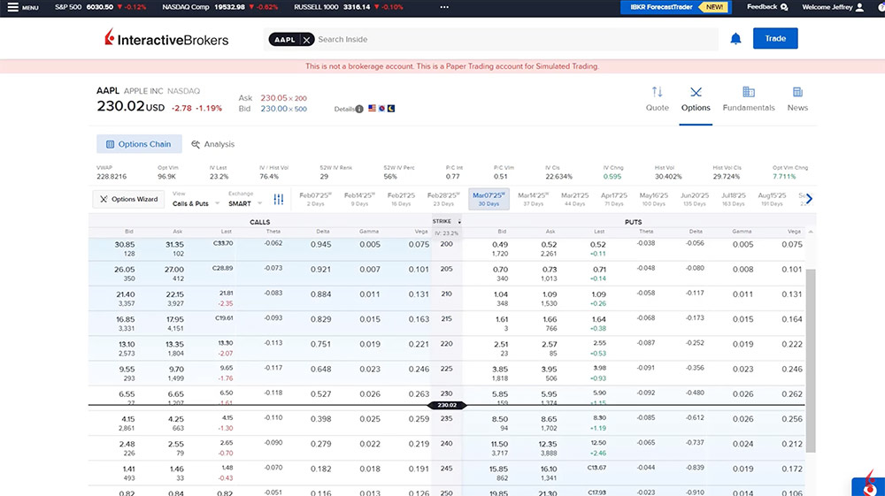 advisor portal option chains