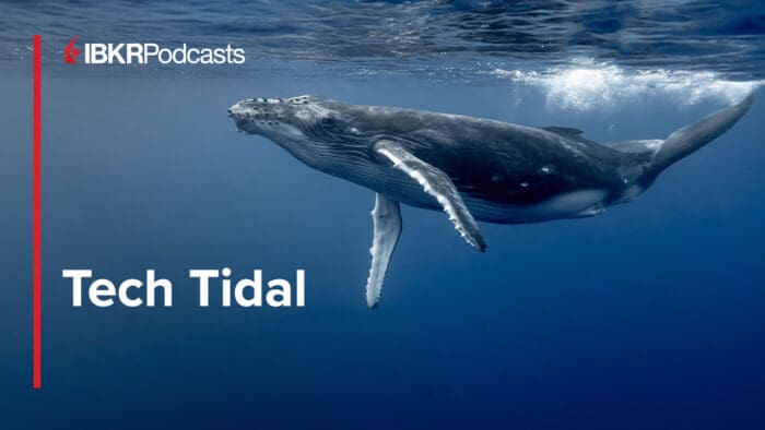 Whale Watching: AI and Global Growth