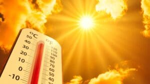 NYC, MIA, CHI Daily Temperature Contracts Surge in Popularity: Nov. 21, 2025