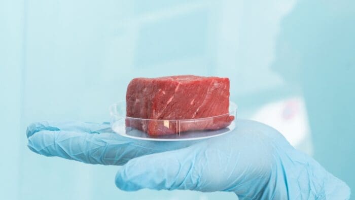Muscling in on lab-grown meat