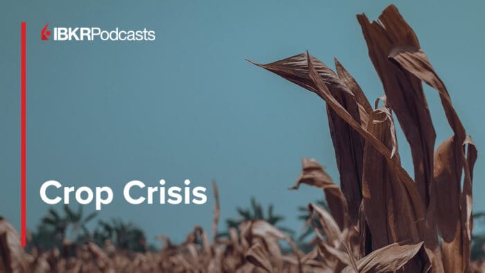 When Trade Wars Hit the Farm… Who Gets Plowed Under?