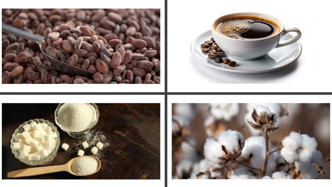 cocoa, cotton, coffee, sugar