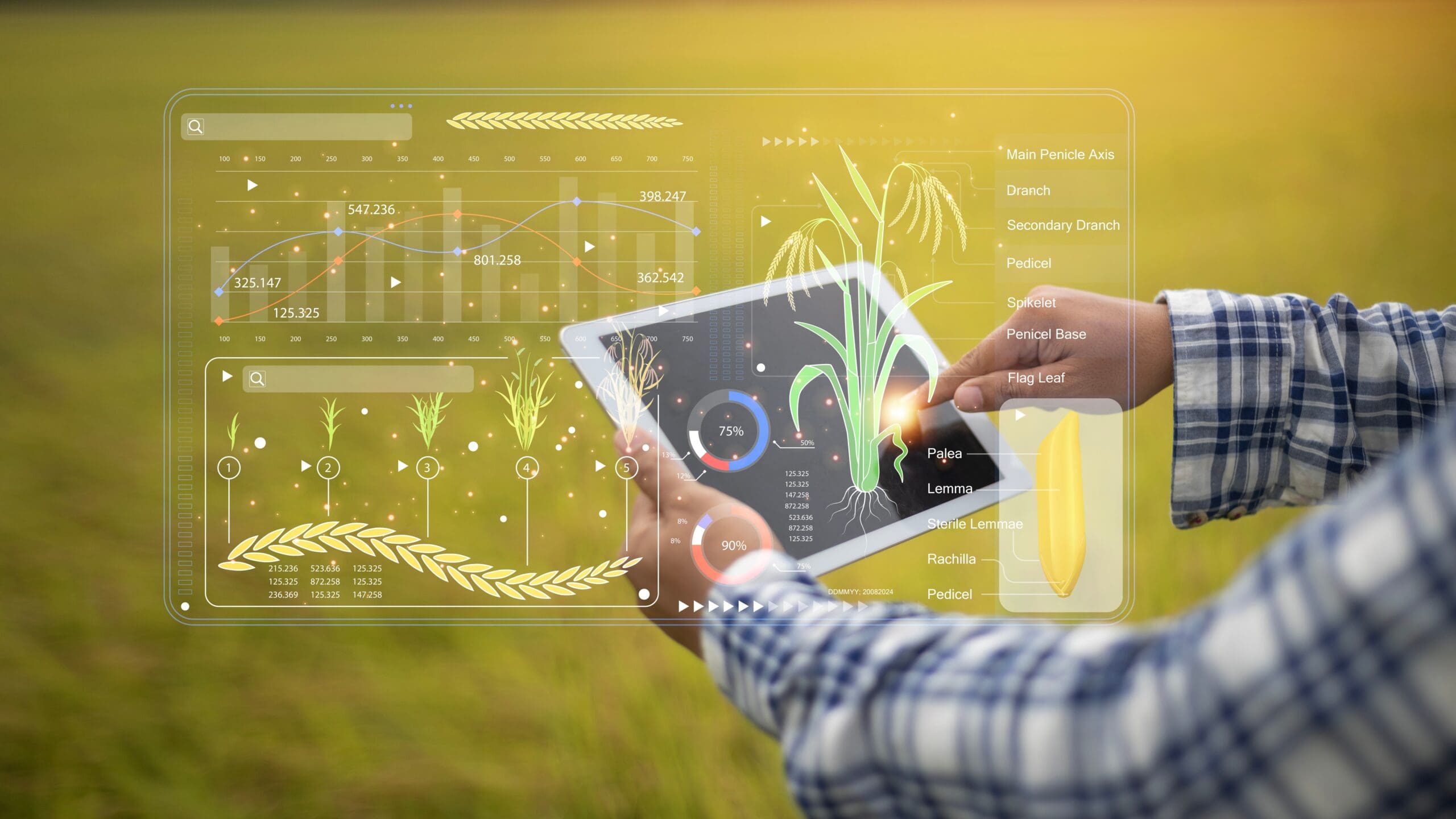 agricultural commodities analysis