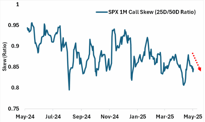 Options Market Signals Skepticism of Market Rebound