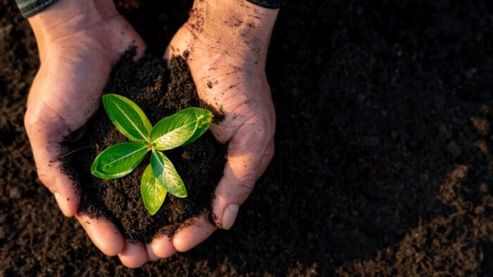 Forecast Trading Volumes Surged in Recent Weeks: June 12, 2025