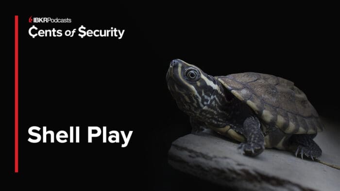 Special Purpose Acquisition Companies (SPACs): The IPO Alternative