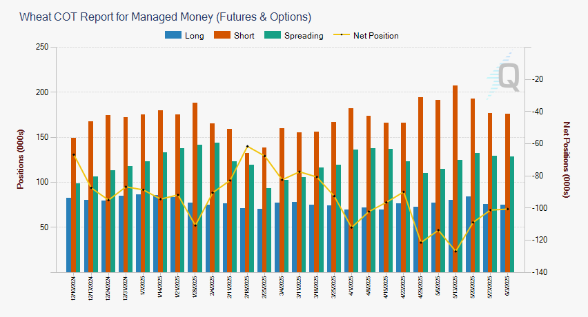 wheat COT report for managed money (futures and options)