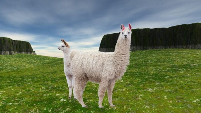 Powell’s Pushmi-Pullyu Swansong