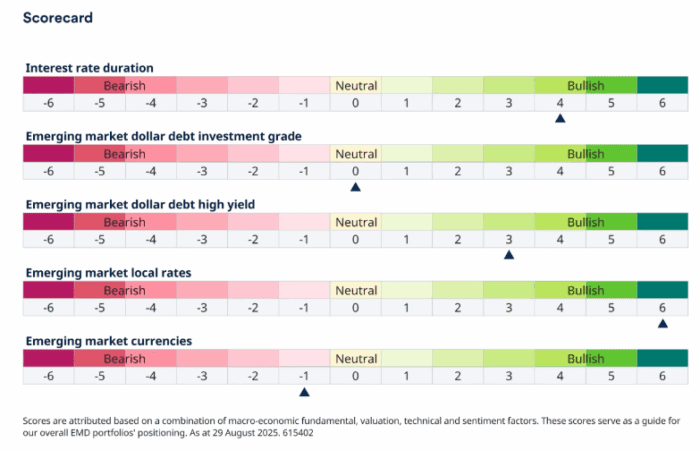 Emerging markets debt investment views – September 2025