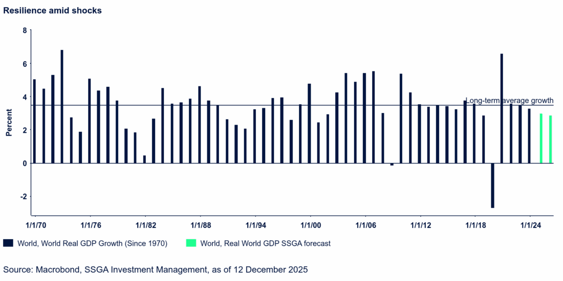 Resilience amid shocks