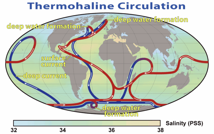 Will the Atlantic Overturning Circulation (AMOC) Collapse? Prediction Markets Can Quantify Sentiment