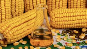 Grains Gap Higher on Sunday Night