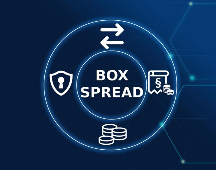 Unboxing SPX Box Spreads: How to Borrow and Lend through Options Markets