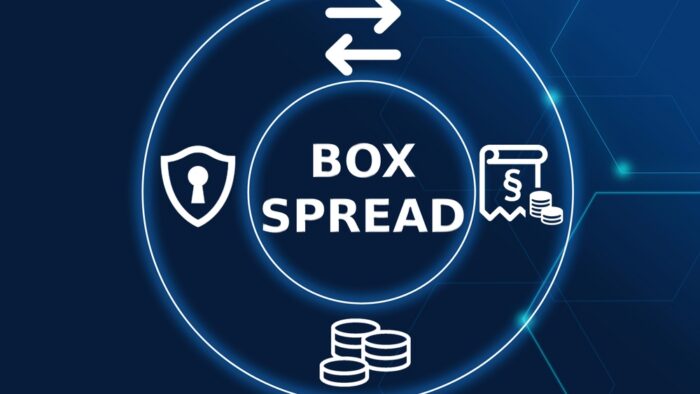 Unboxing SPX Box Spreads: How to Borrow and Lend through Options Markets