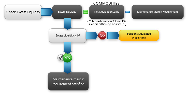 IB Maintenance Margin Calculation – Commodities
