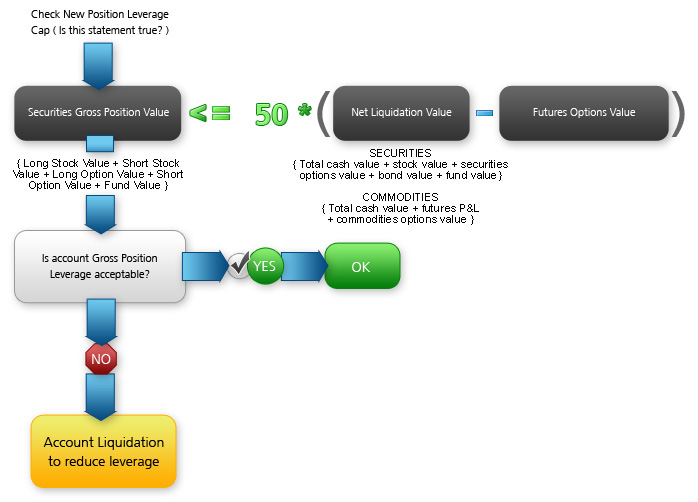 Real-Time Position Leverage Check