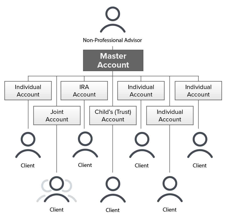 Non-Profession Advisor account structure